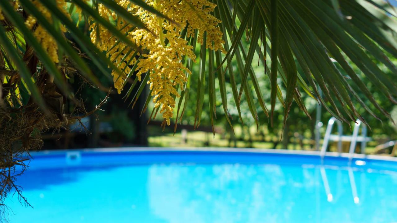 Pension Sunnhofer Vilpiano Ngoại thất bức ảnh